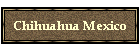 Chihuahua Mexico