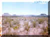 Sonora_Desert_2.jpg (100123 bytes)